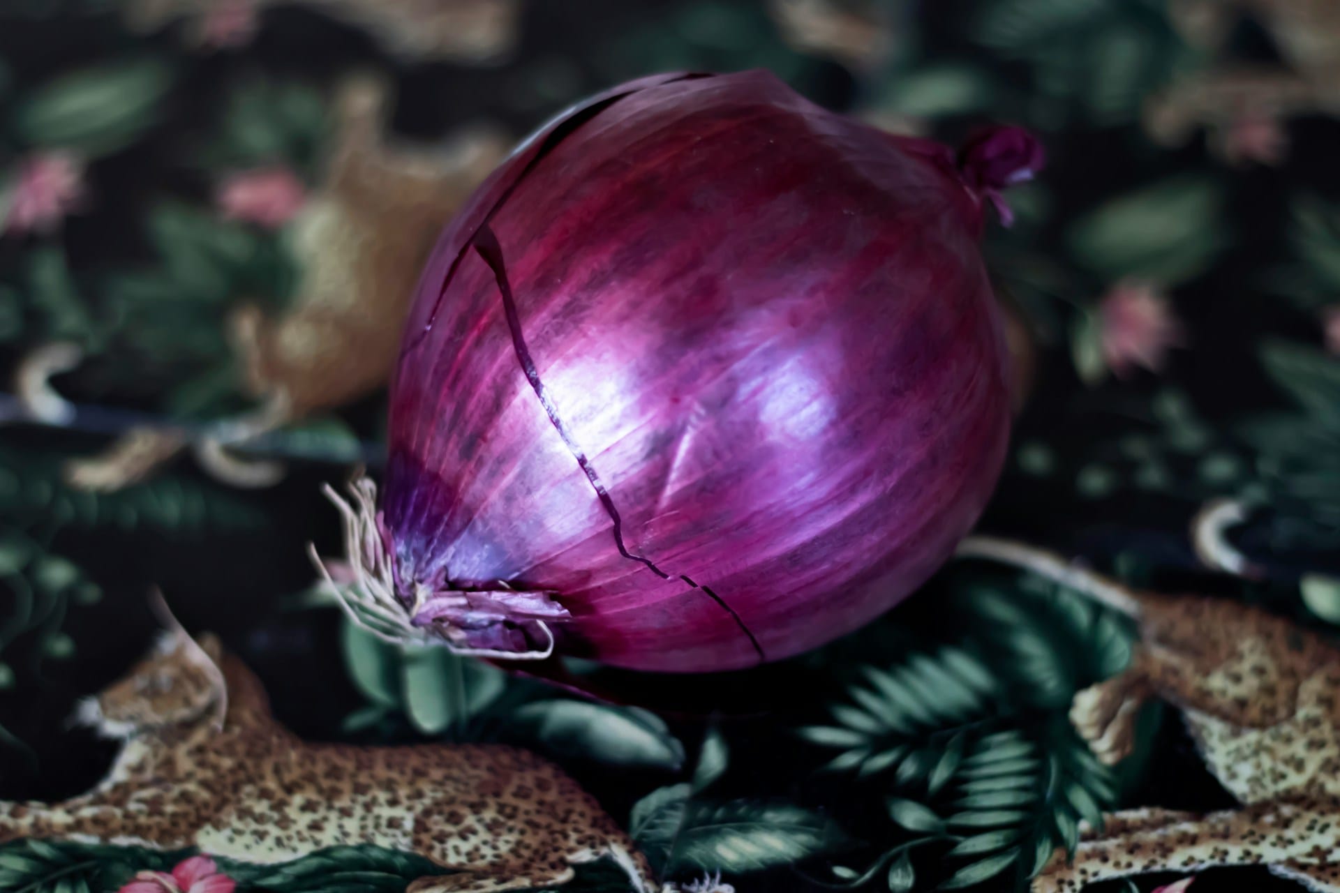 Privacy‑First Online Communities Outside of Tor